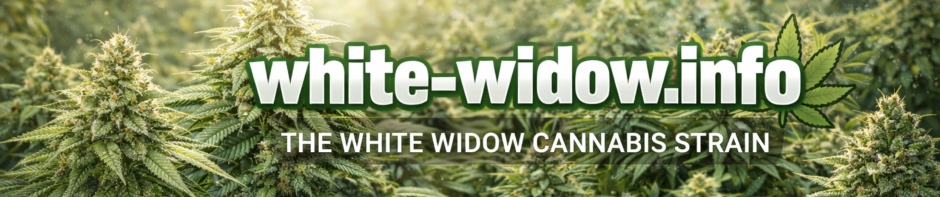 white widow